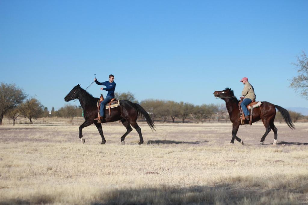Amado Territory B&B エクステリア 写真